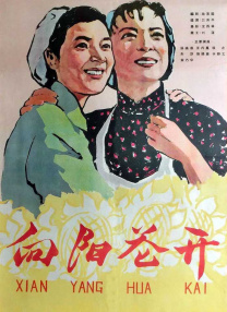 黑黑的肥岳