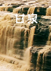 免费的一级毛片